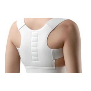 Аппликатор магнитный Коррекция осанки Biomag (Магнитная энергия)