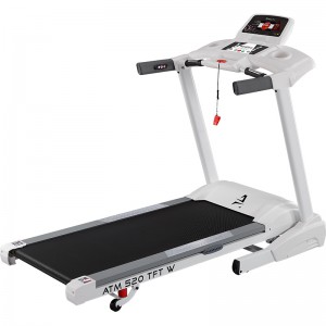 БЕГОВАЯ ДОРОЖКА AMMITY Classic ATM 520 TFT W