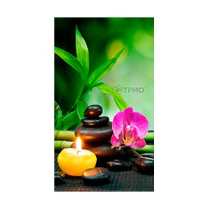  Настенный пленочный инфракрасный обогреватель-картина