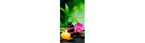 Пленочные настенные инфракрасные обогреватели